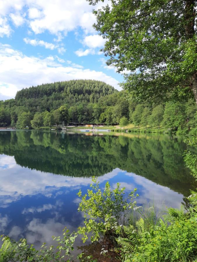 道恩Ferien Am Maar公寓 外观 照片